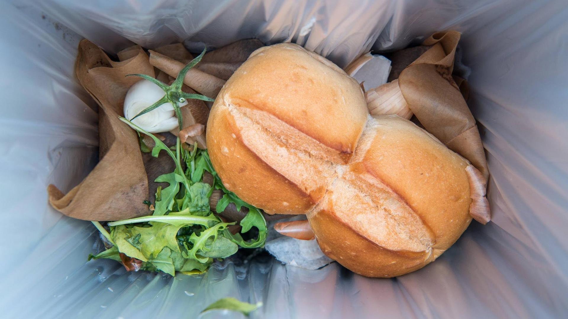 Verschwendung von Lebensmitteln, Brötchen im Biomüll. Verschwendung von Lebensmitteln, Brötchen im Biomüll.