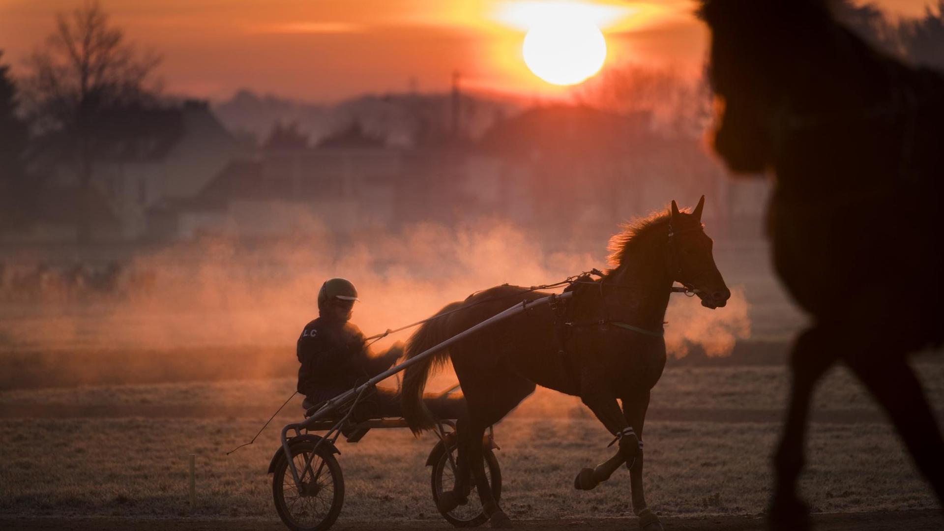 Ein Pferd und sein Reiter im Sulky beim Training im Traber-Zentrum von Grosbois in Frankreich
