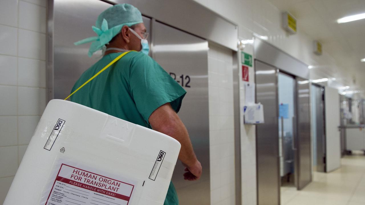 Ein Styropor-Behälter zum Transport von zur Transplantation vorgesehenen Organen wird am 27.09.2012 in Berlin am Eingang eines OP-Saales vorbei getragen.