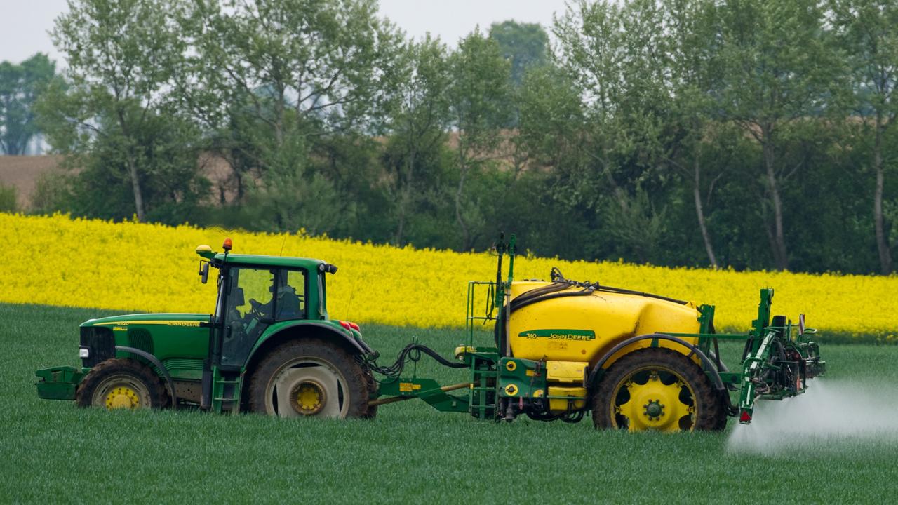 Ein Landwirt versprüht auf einem Getreidefeld unweit des brandenburgischen Wriezen ein Pestizid, aufgenommen am 10.05.2010. Ein Landwirt versprüht auf einem Getreidefeld unweit des brandenburgischen Wriezen ein Pestizid, aufgenommen am 10.05.2010.