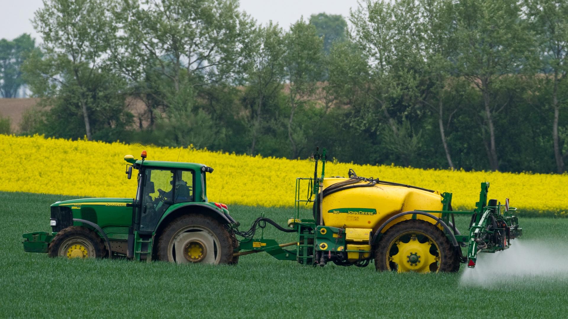 Ein Landwirt versprüht auf einem Getreidefeld unweit des brandenburgischen Wriezen ein Pestizid, aufgenommen am 10.05.2010. Ein Landwirt versprüht auf einem Getreidefeld unweit des brandenburgischen Wriezen ein Pestizid, aufgenommen am 10.05.2010.