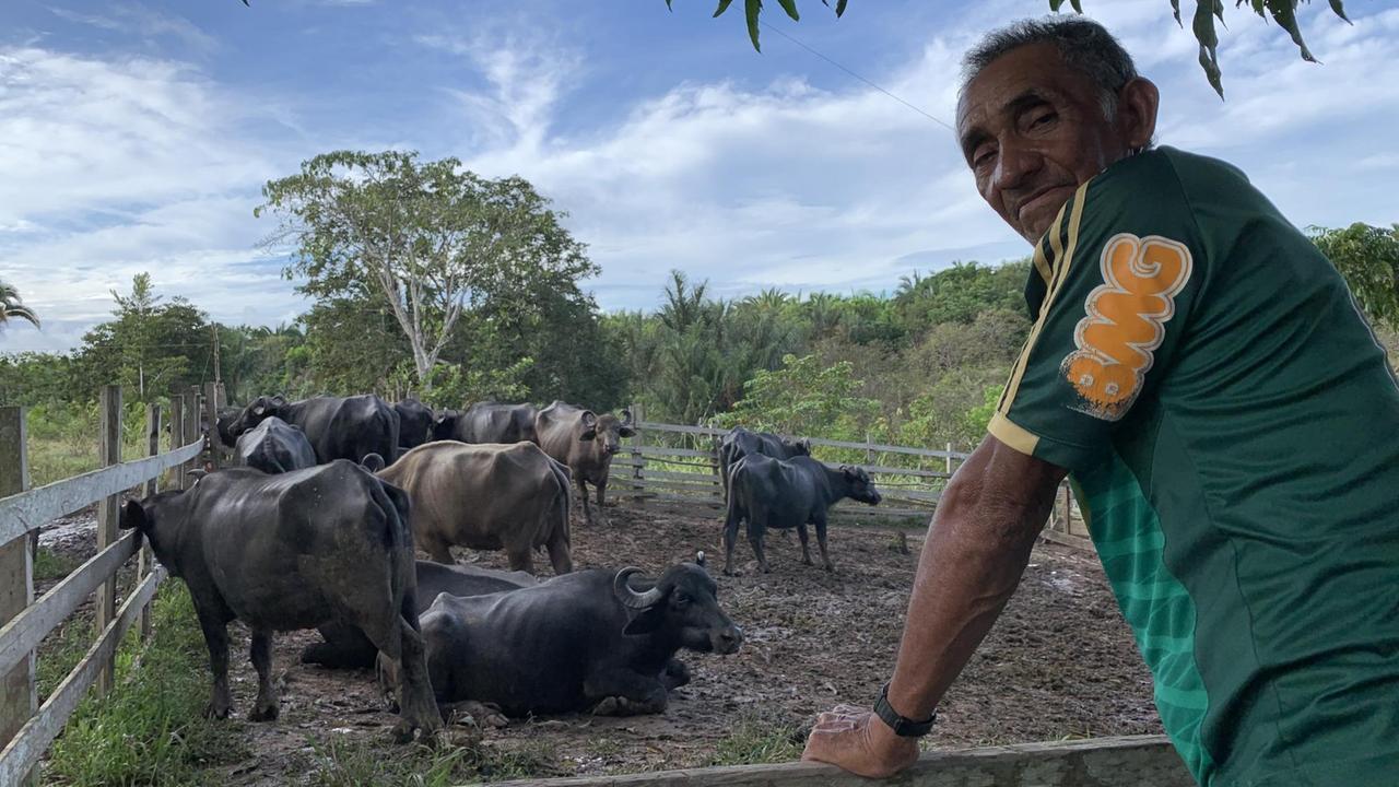 Älterer Brasilianer in T-Shirt lehnt am Zaun, dahinter Büffel