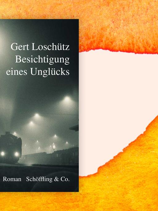 Buchcover zu Gert Loschütz: Besichtigung eines Unglücks