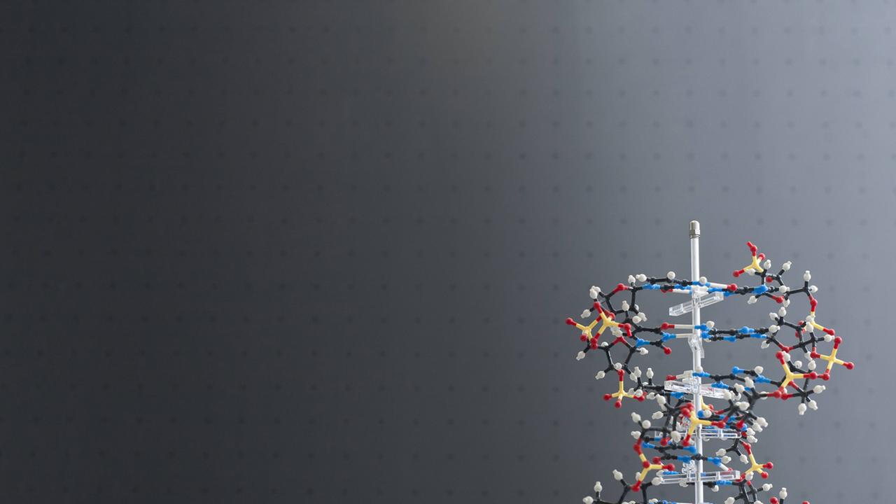 Modell eines DNA-Moleküls Modell eines DNA-Moleküls