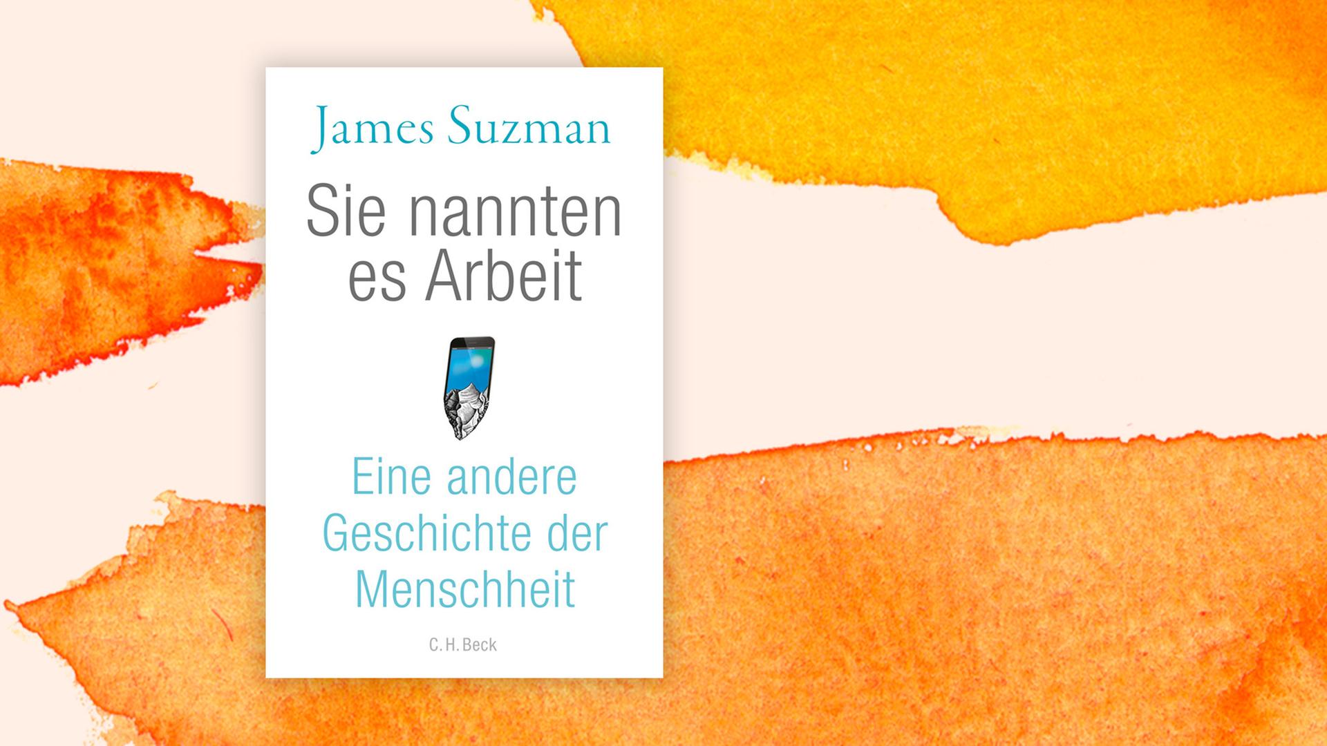 Das Buchcover "Sie nannten es Arbeit" von James Suzman ist vor einem grafischen Hintergrund zu sehen.