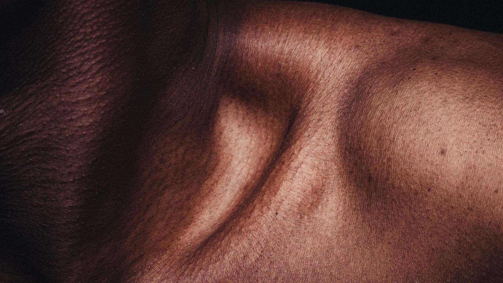 Detailaufnahme der Senke zwischen Hals und Schulter Detailaufnahme der Senke zwischen Hals und Schulter