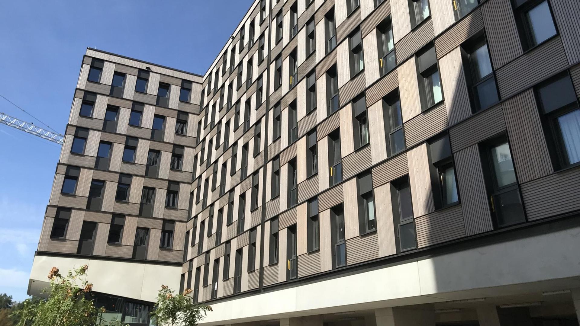 Beim Holzwohnblock Woodie sind nur die Fundamente, Treppenhäuser und Versorgungsschächte aus Beton Beim Holzwohnblock Woodie sind nur die Fundamente, Treppenhäuser und Versorgungsschächte aus Beton