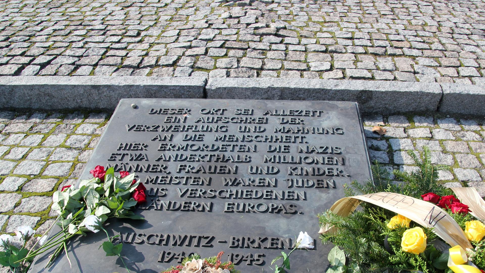 Leider liegt für dieses Bild keine Bildbeschreibung vor Leider liegt für dieses Bild keine Bildbeschreibung vor