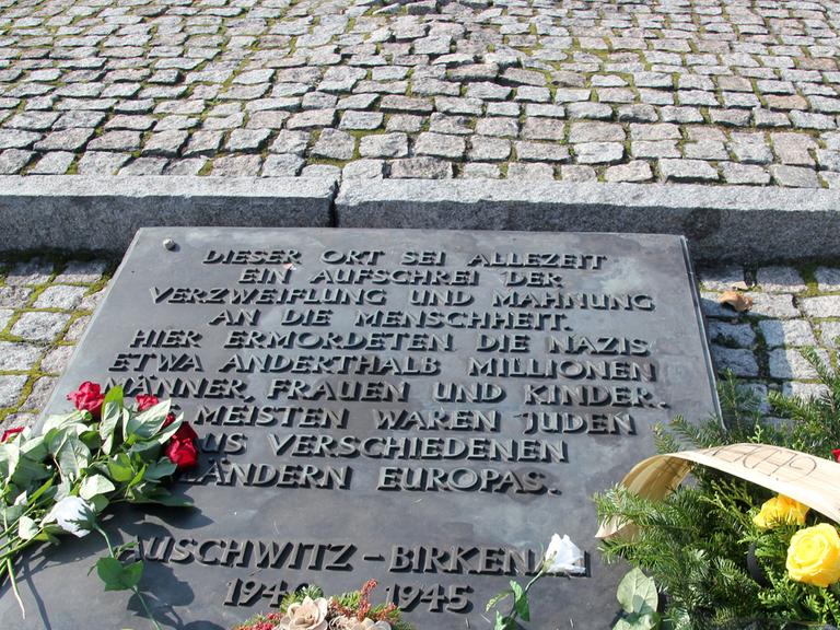 Leider liegt für dieses Bild keine Bildbeschreibung vor