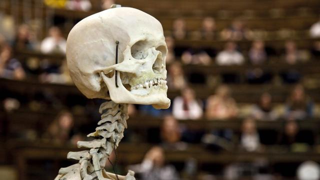 Ein menschliches Skelett vor Studenten in einem Hörsaal