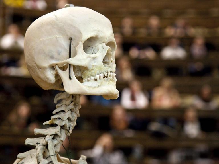 Ein menschliches Skelett vor Studenten in einem Hörsaal