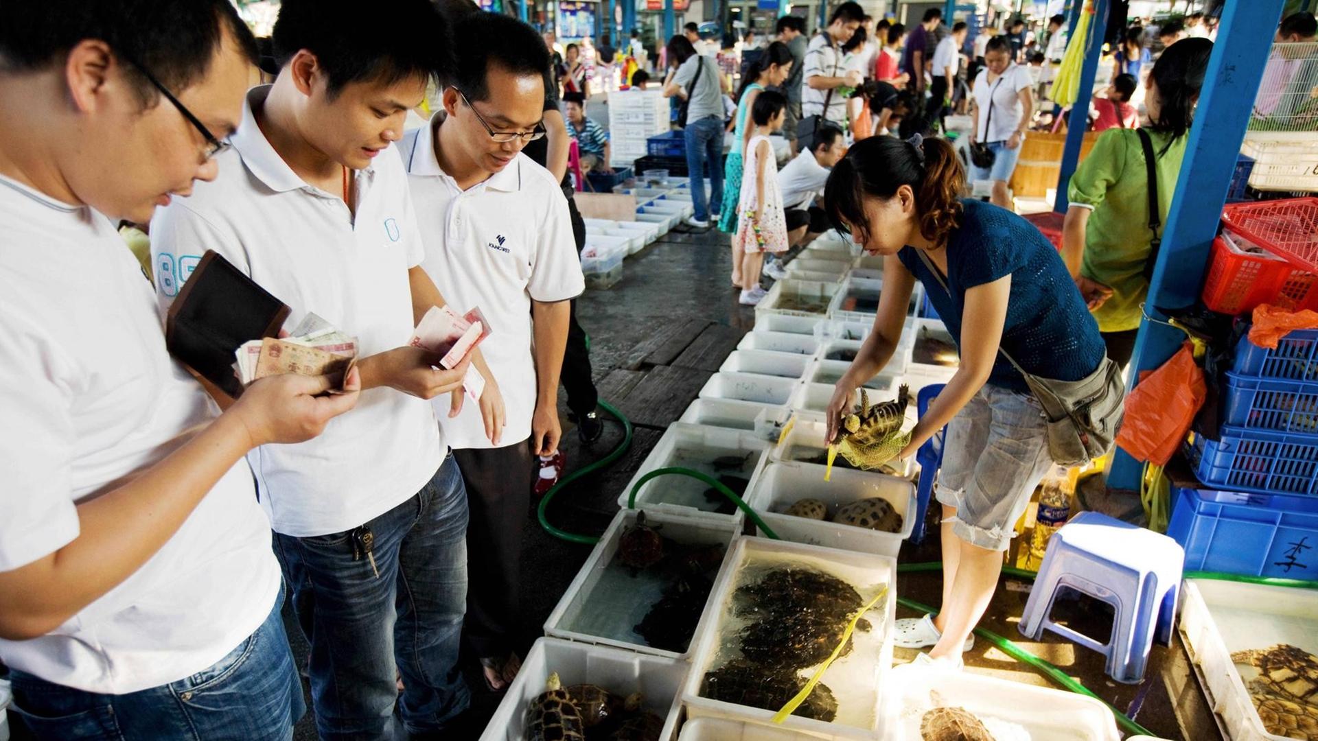 Kunden stehen mit gezückten Geldscheinen vor Plastikbottichen mit Schildkröten (6.10.2009) auf dem Huansha-Markt in Guangzhou, China. Schildkröten werden als Haustiere gehalten, aber auch verzehrt oder als Medizin eingenommen. In der traditionellen chinesischen Medizin steht die Schildkröte für Weisheit und Langlebigkeit. Kunden stehen mit gezückten Geldscheinen vor Plastikbottichen mit Schildkröten (6.10.2009) auf dem Huansha-Markt in Guangzhou, China. Schildkröten werden als Haustiere gehalten, aber auch verzehrt oder als Medizin eingenommen. In der traditionellen chinesischen Medizin steht die Schildkröte für Weisheit und Langlebigkeit.