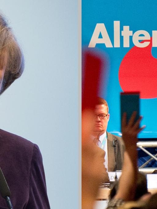 Fotomontage: Bundeskanzlerin Angela Merkel und Bundesparteitag der AfD