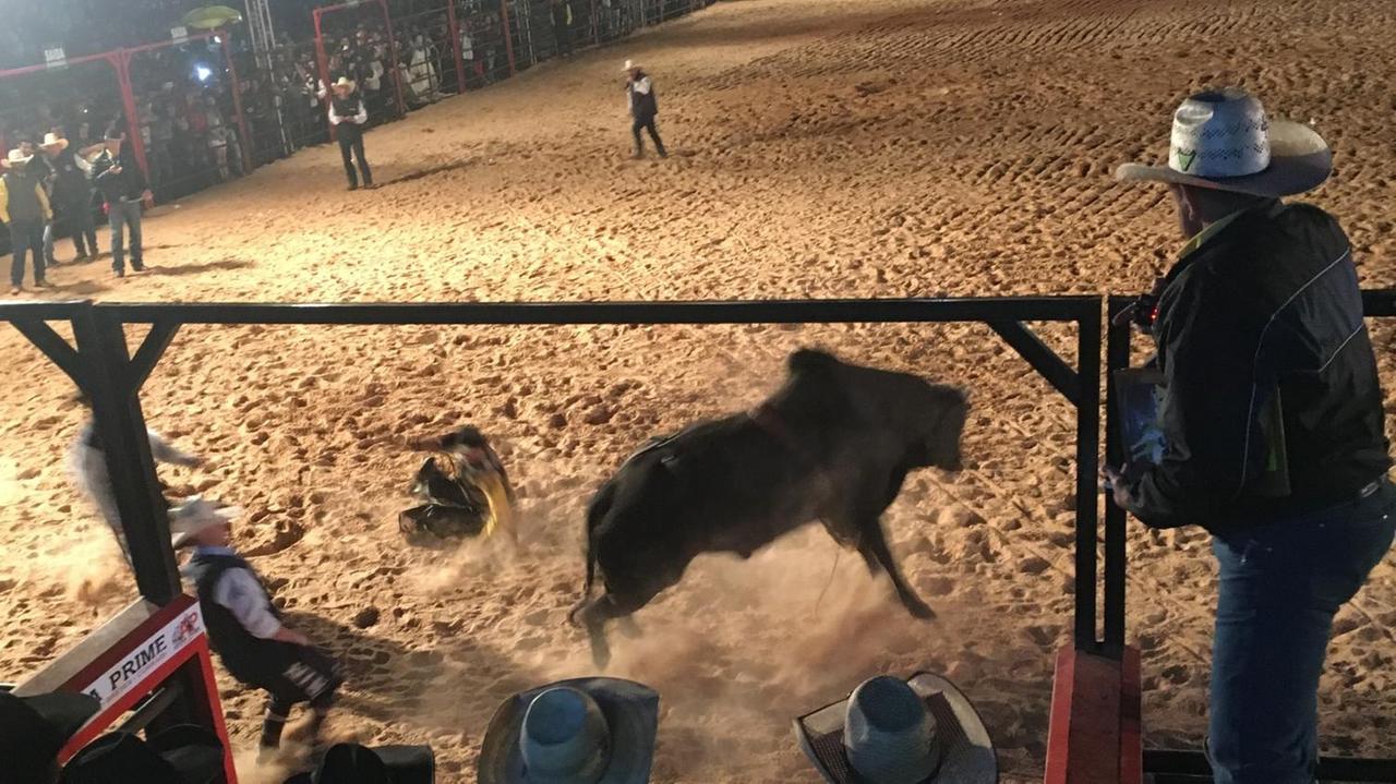 In Brasilien beliebt – Rodeo, hier in Itu, zwei Stunden entfernt von São Paulo. In Brasilien beliebt – Rodeo, hier in Itu, zwei Stunden entfernt von São Paulo.