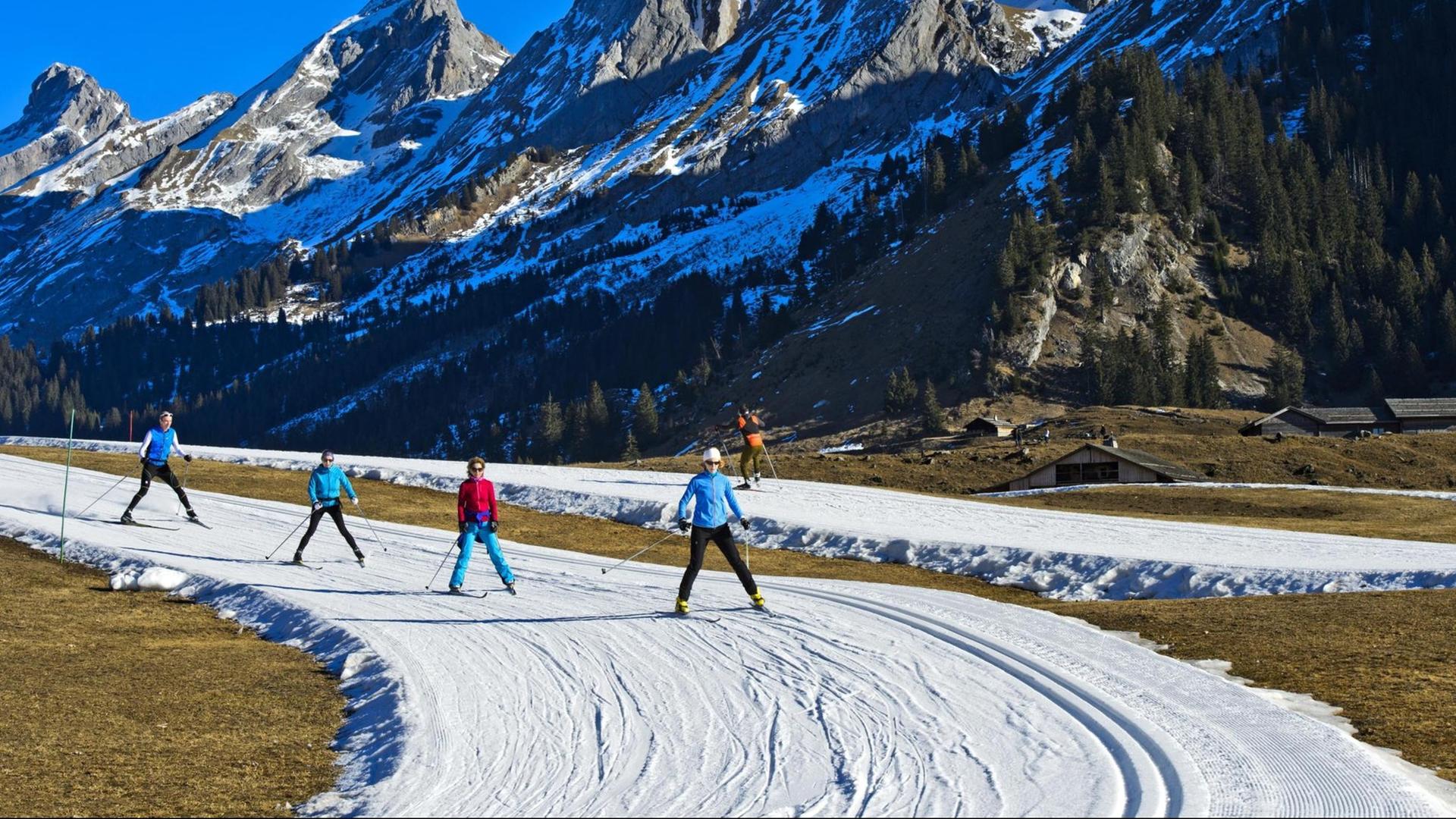 Skilangläufer auf Loipen aus Kunstschnee vor dem Massif des Aravis Skilangläufer auf Loipen aus Kunstschnee vor dem Massif des Aravis