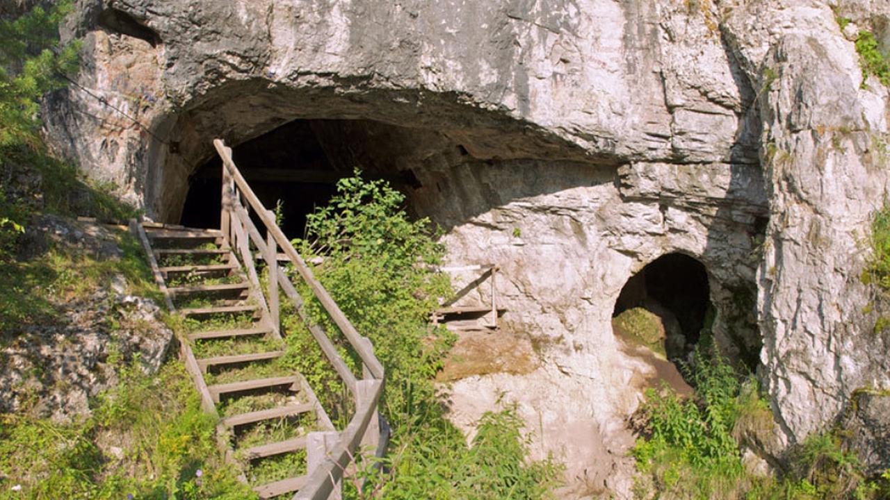 Eine Holztreppe führt in ein graues, mit zum Teil grünen Pflanzen bewachsenes Felsgebilde Eine Holztreppe führt in ein graues, mit zum Teil grünen Pflanzen bewachsenes Felsgebilde