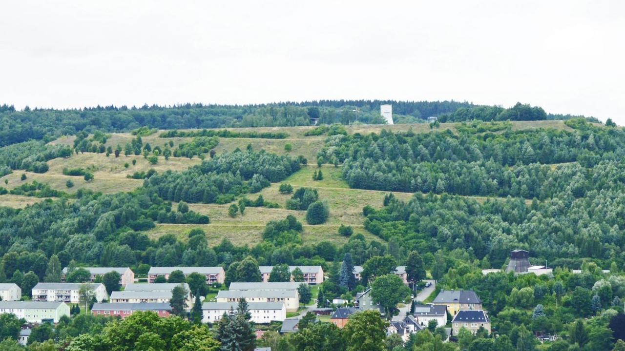 2349695096_Ehemalige Uranbergbauhalde im Erzgebirge2.JPG 2349695096_Ehemalige Uranbergbauhalde im Erzgebirge2.JPG
