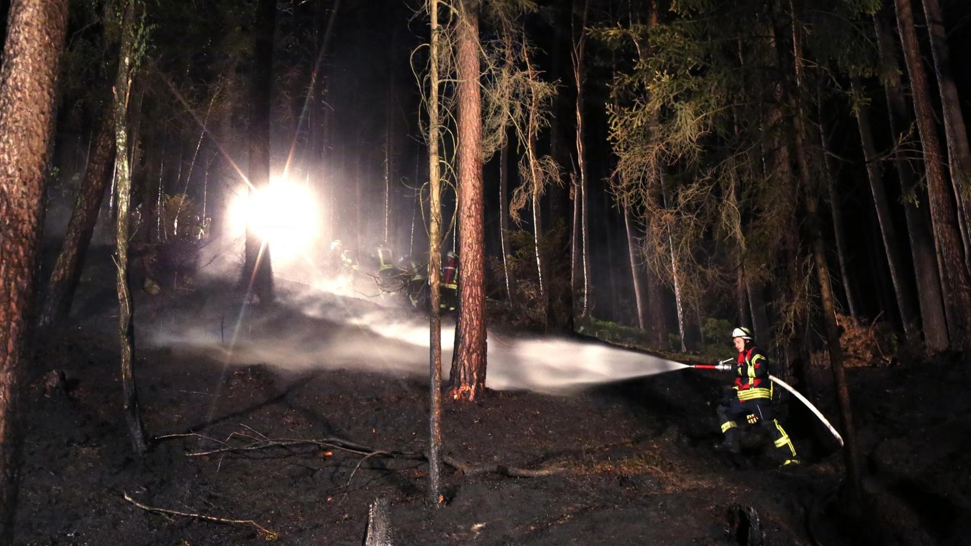 Ein Feuerwehrmann löscht einen Waldbrand in Heinersreuth im Landkreis Bayreuth 2019. Ein Feuerwehrmann löscht einen Waldbrand in Heinersreuth im Landkreis Bayreuth 2019.