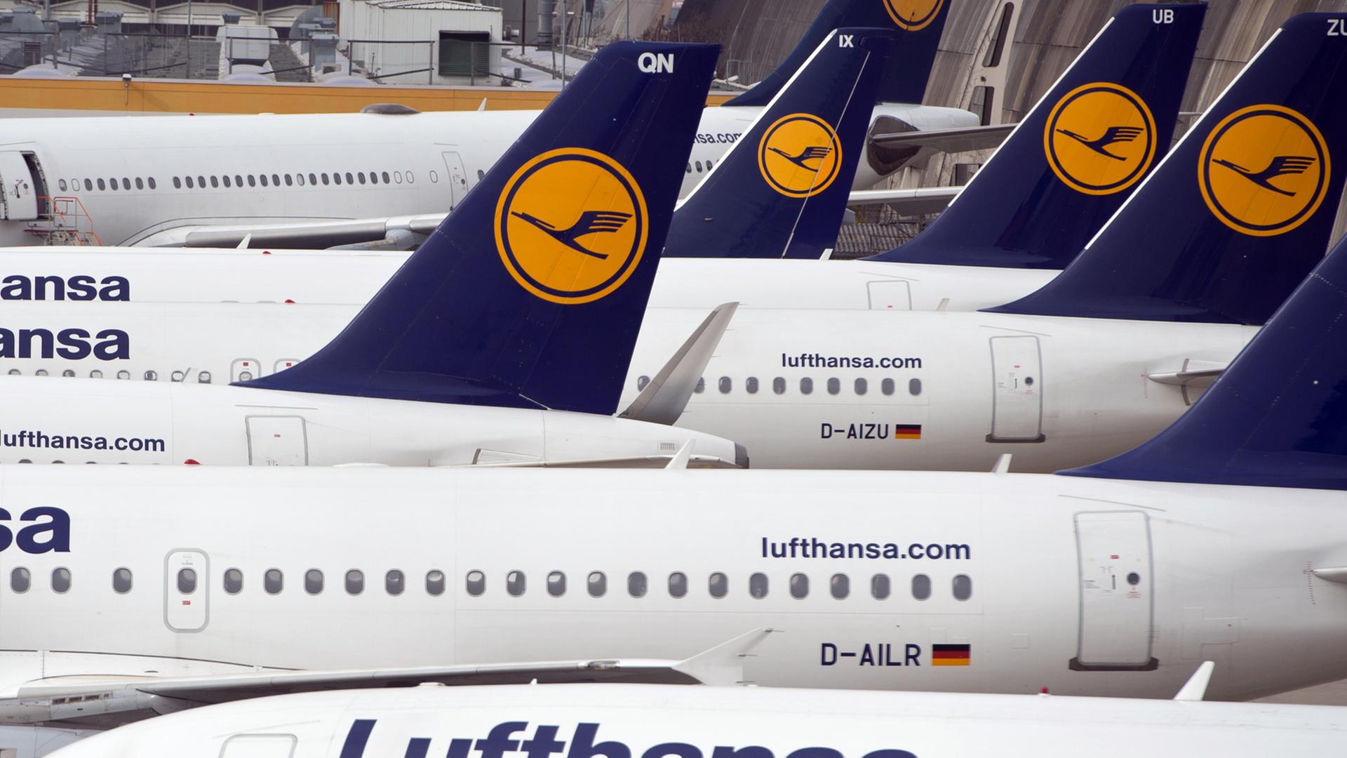 Lufthansa-Maschinen am Frankfurter Flughafen Lufthansa-Maschinen am Frankfurter Flughafen