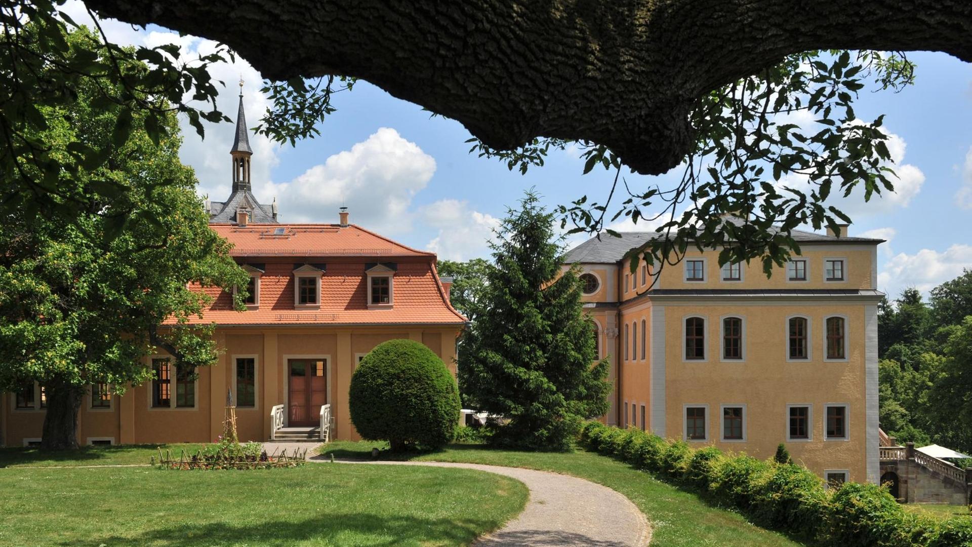 Das barocke Schloss zeigt sich hinter einem alten Ast eines Baumes im Park.
