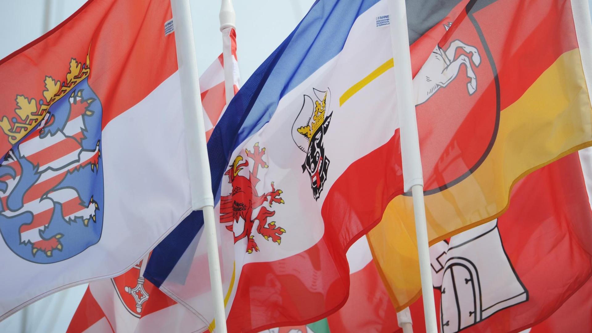 Die Flaggen mehrerer Bundesländer, darunter Mecklenburg-Vorpommern, und Hamburg, wehen an Masten Die Flaggen mehrerer Bundesländer, darunter Mecklenburg-Vorpommern, und Hamburg, wehen an Masten