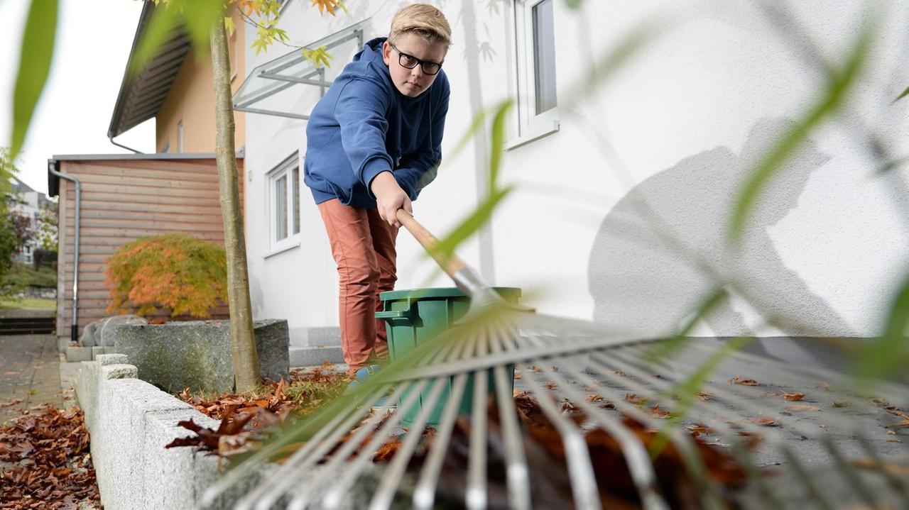 Ein Schüler posiert am in Ravensburg mit einem Rechen vor einem Reihenhaus, vor dem die herbstlich gefärbten Blätter eines Ahornbaums liegen. Ein Schüler posiert am in Ravensburg mit einem Rechen vor einem Reihenhaus, vor dem die herbstlich gefärbten Blätter eines Ahornbaums liegen.