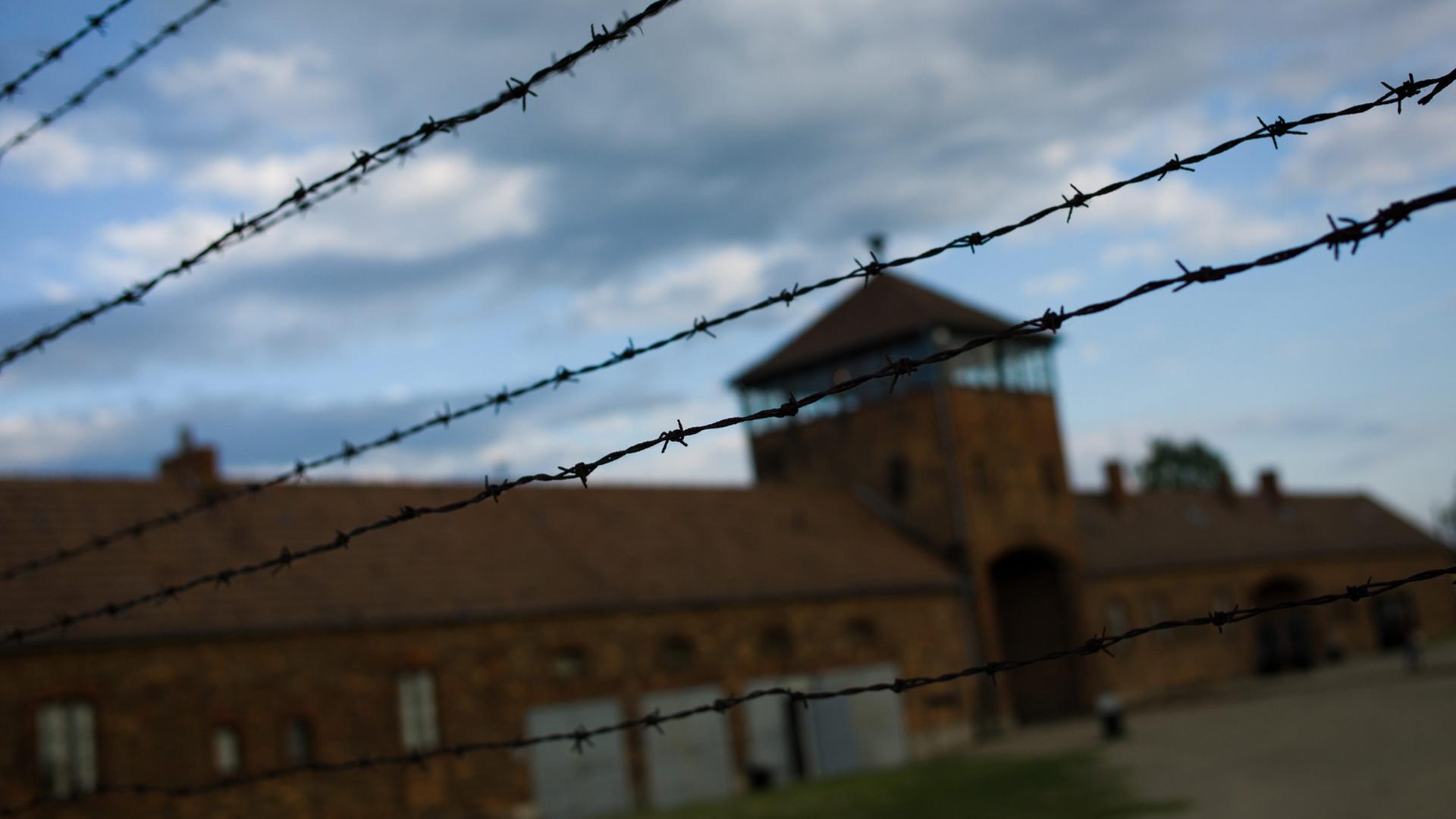 Auschwitz-Birkenau war das größte der deutschen Vernichtungslager. Auschwitz-Birkenau war das größte der deutschen Vernichtungslager.