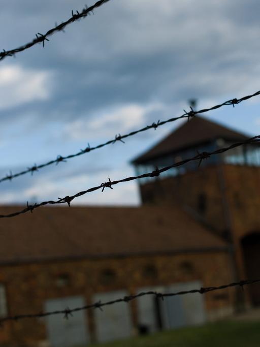 Auschwitz-Birkenau war das größte der deutschen Vernichtungslager.