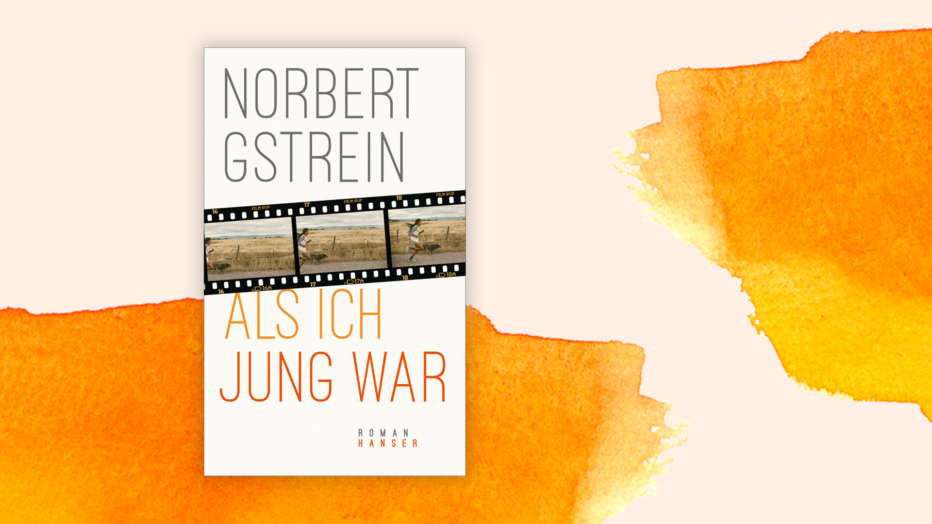 Cover des Buches "Als ich jung war" von Norbert Gstrein.
