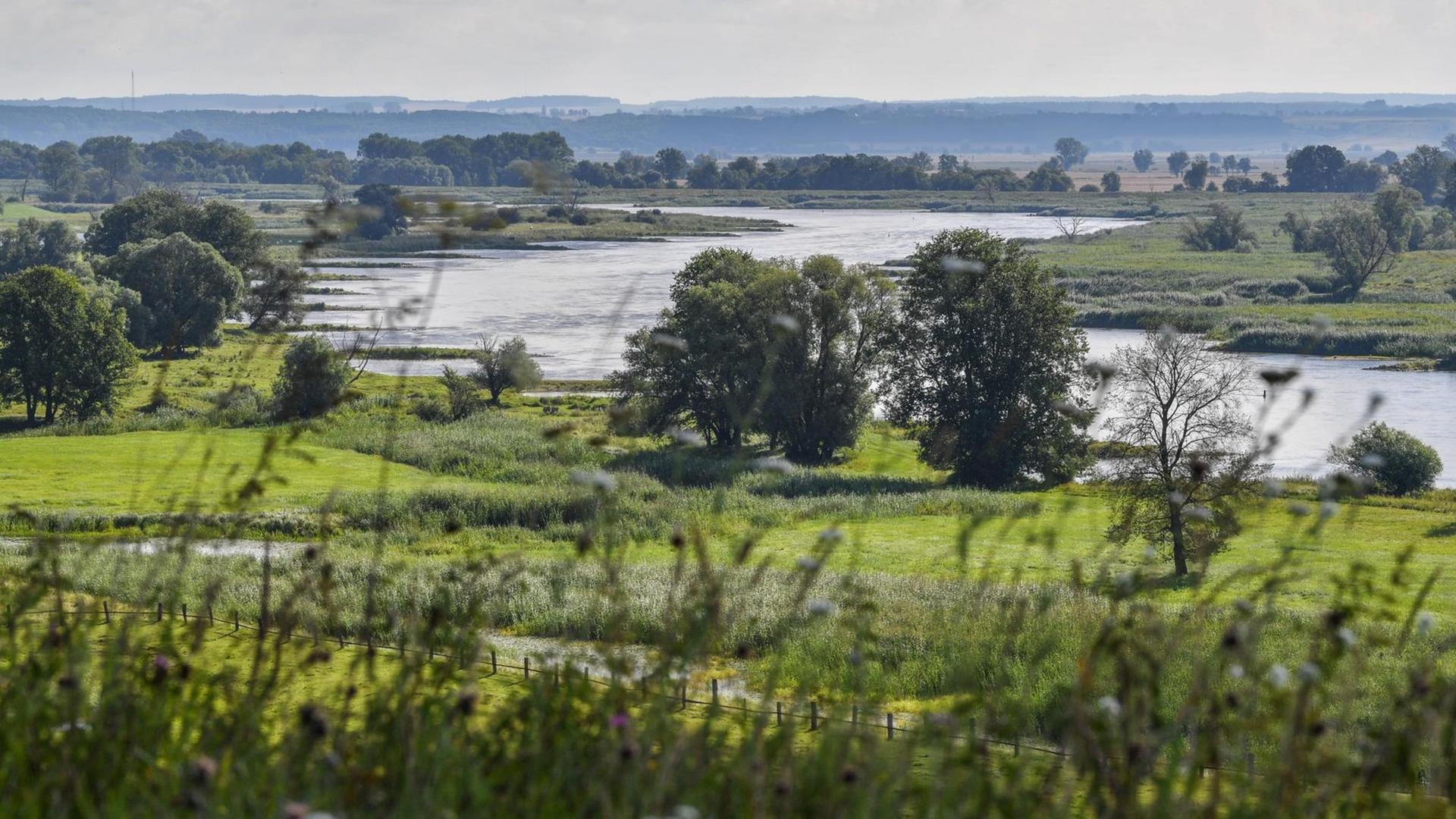 Ortserkundungen - Wer Braucht Das Oderbruch? | Deutschlandfunk.de