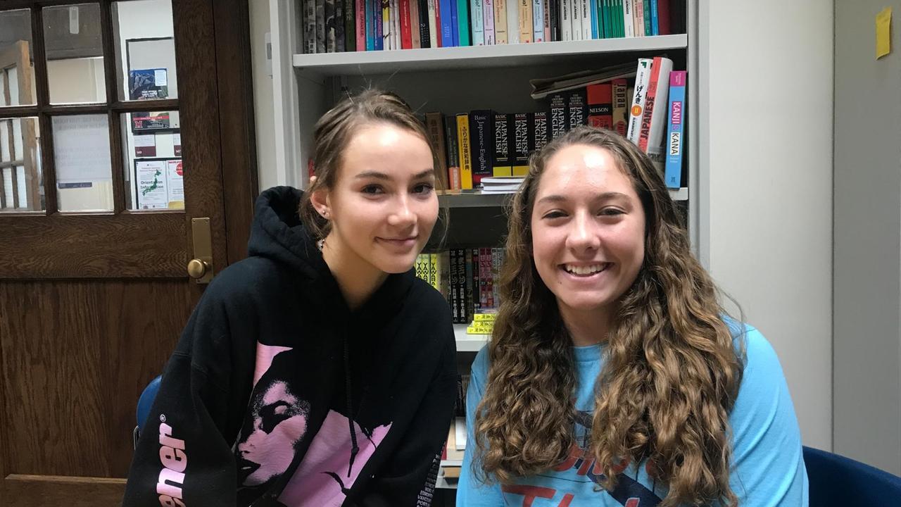 Zwei junge Studentinnen sitzen an einem Tisch vor einem Bücherregal. Zwei junge Studentinnen sitzen an einem Tisch vor einem Bücherregal.