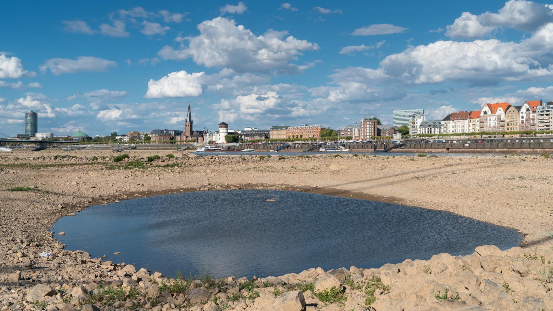 Vor wenigen Jahren sah es am Rhein bei der Stadt Düsseldorf sehr trocken aus. Vor wenigen Jahren sah es am Rhein bei der Stadt Düsseldorf sehr trocken aus.