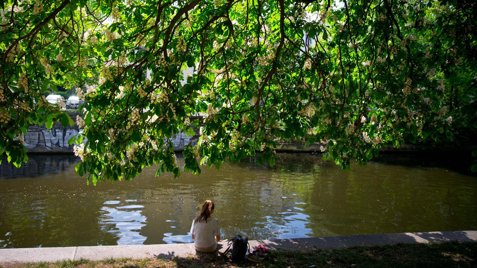 Eine Passantin sitzt am 29.04.2014 in Berlin-Kreuzberg bei milden Temperaturen und Sonnenschein am Ufer des Landwehrkanals. Eine Passantin sitzt am 29.04.2014 in Berlin-Kreuzberg bei milden Temperaturen und Sonnenschein am Ufer des Landwehrkanals.
