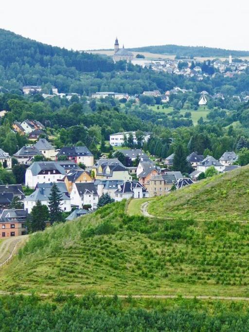  Ehemalige Uranbergbauhalde im Erzgebirge.