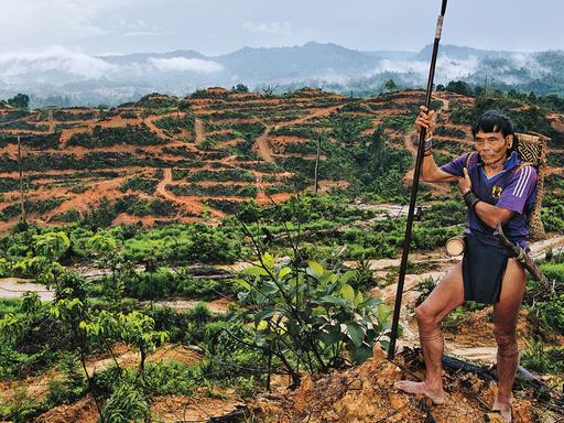 Teberan, ein Jäger auf Borneo, vor gerodeter Landschaft