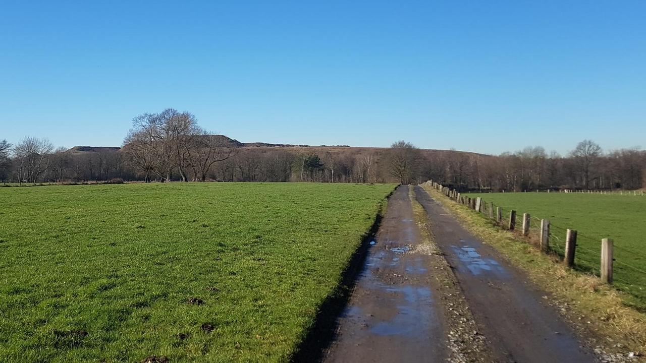 Am Horizont der niederrheinischen Gemeinde Schermbeck erhebt sich der Mühlenberg, eine aufgeschüttete Tongrube. Dort wurden zwischen 2010-2013 30.000 Tonnen ölgetränkter Raffinerieabfälle illegal entsorgt. Am Horizont der niederrheinischen Gemeinde Schermbeck erhebt sich der Mühlenberg, eine aufgeschüttete Tongrube. Dort wurden zwischen 2010-2013 30.000 Tonnen ölgetränkter Raffinerieabfälle illegal entsorgt.