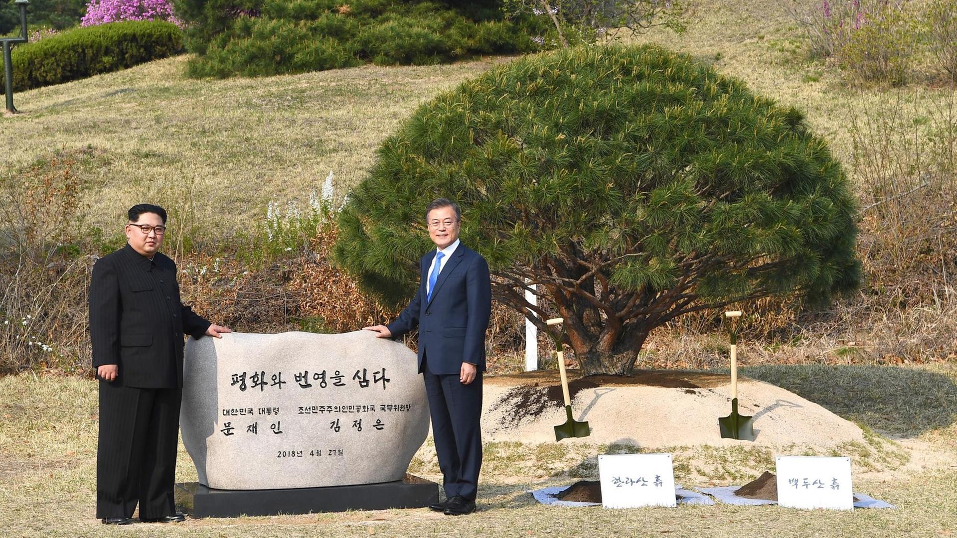 Kim Jong-un und Moon Jae-in posieren neben dem Baum, den sie in Panmunjeom gepflanzt haben Kim Jong-un und Moon Jae-in posieren neben dem Baum, den sie in Panmunjeom gepflanzt haben