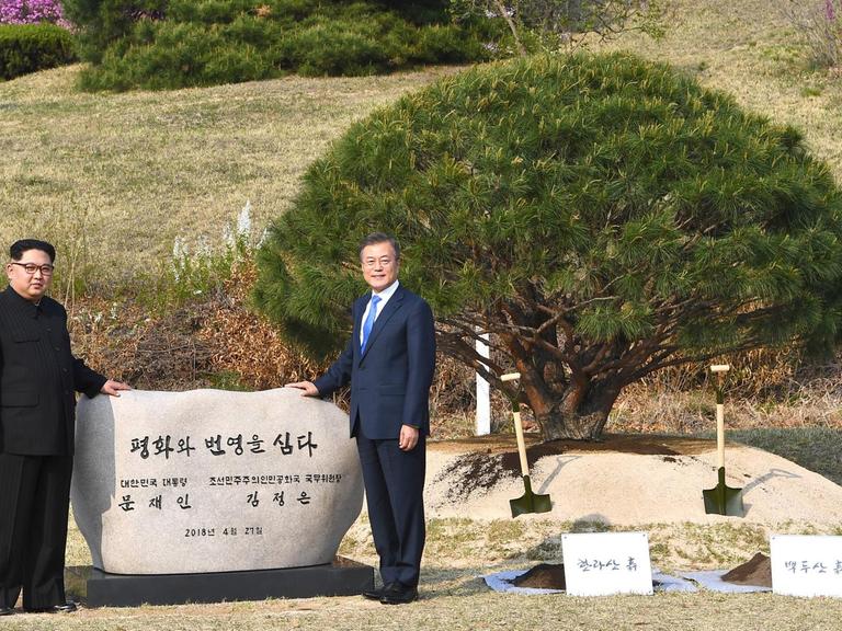 Kim Jong-un und Moon Jae-in posieren neben dem Baum, den sie in Panmunjeom gepflanzt haben