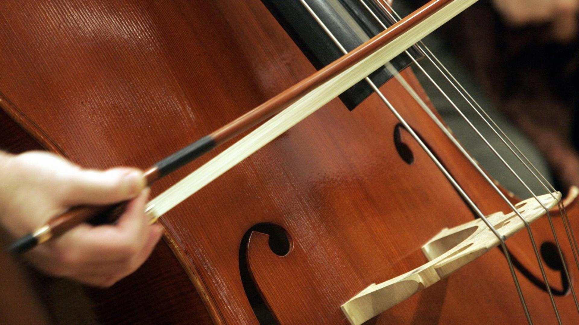 Kontrabass Kontrabass