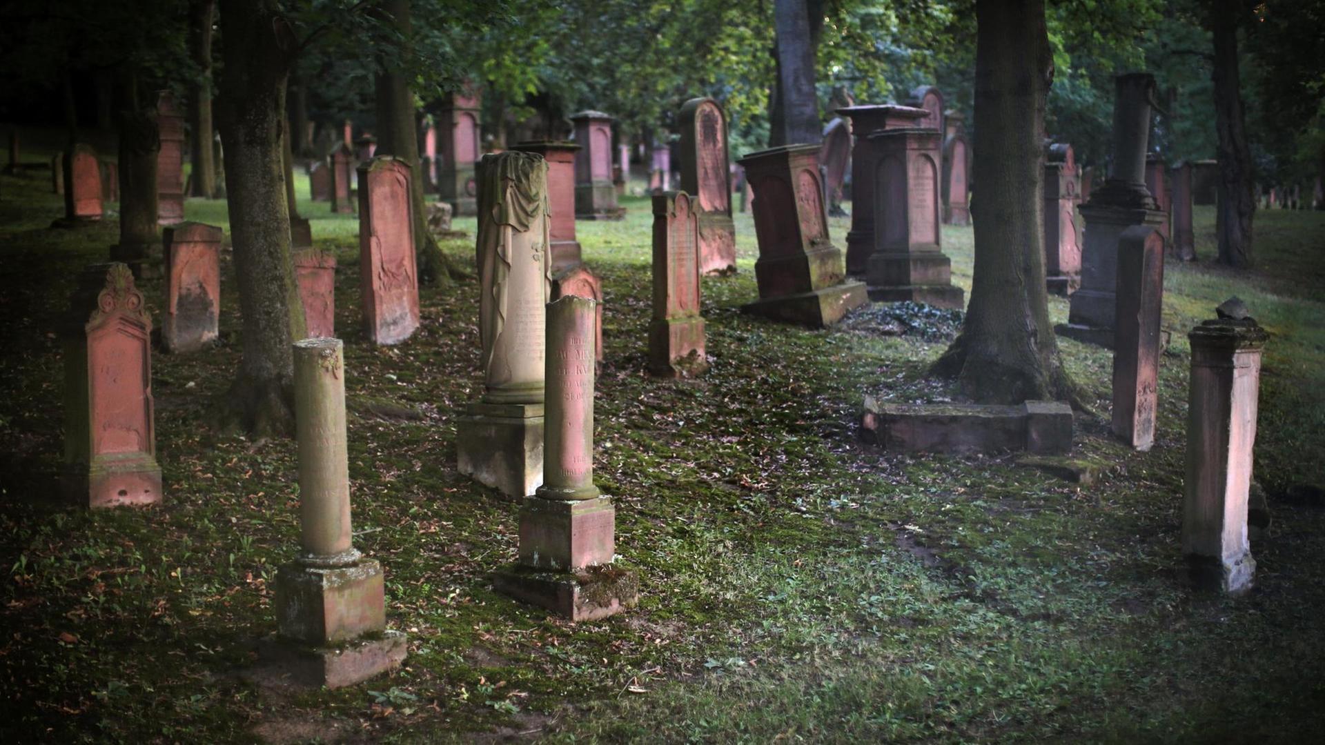 Alte Grabsteine auf dem Jüdischen Friedhof in Mainz Alte Grabsteine auf dem Jüdischen Friedhof in Mainz