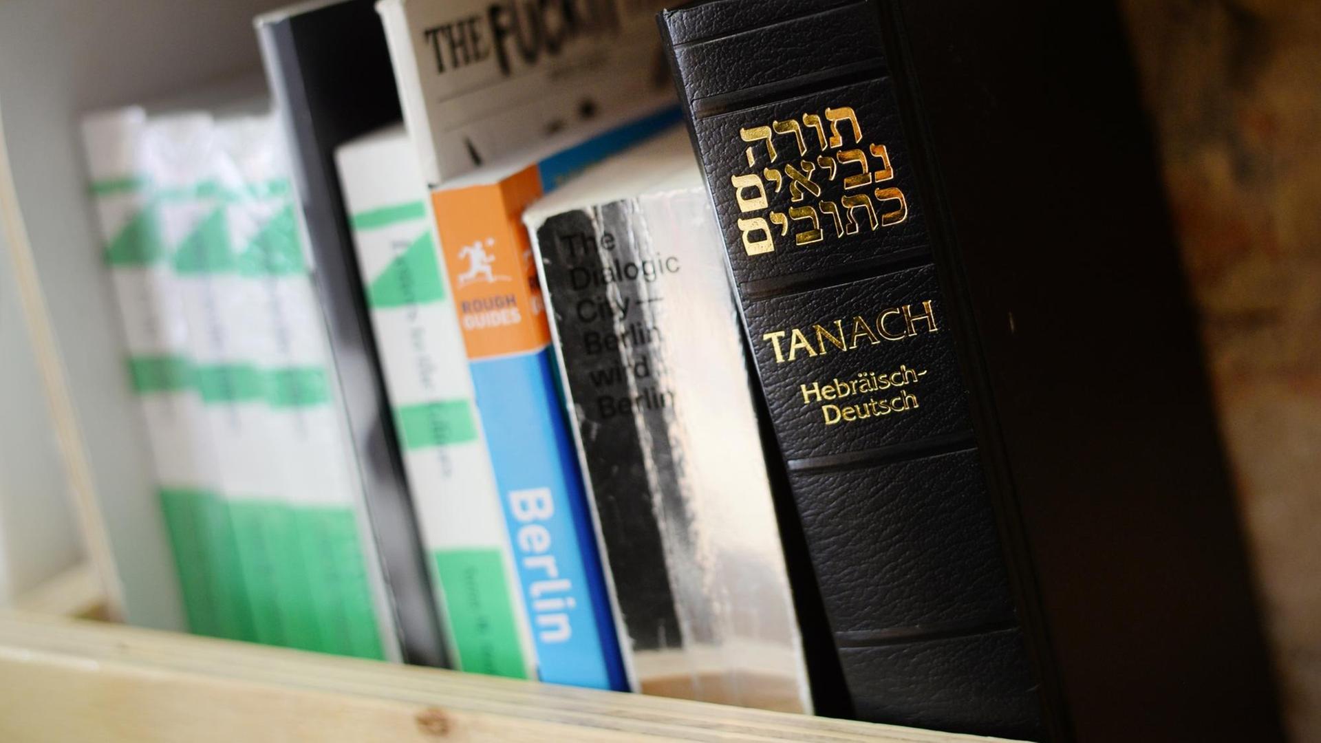 Wahlheimat Deutschland: Ein Tanach mit jüdischen Bibeltexten steht neben einem Berlin-Reiseführer und anderen Büchern in einem Bücherregal eines Berliner Cafés. Wahlheimat Deutschland: Ein Tanach mit jüdischen Bibeltexten steht neben einem Berlin-Reiseführer und anderen Büchern in einem Bücherregal eines Berliner Cafés.