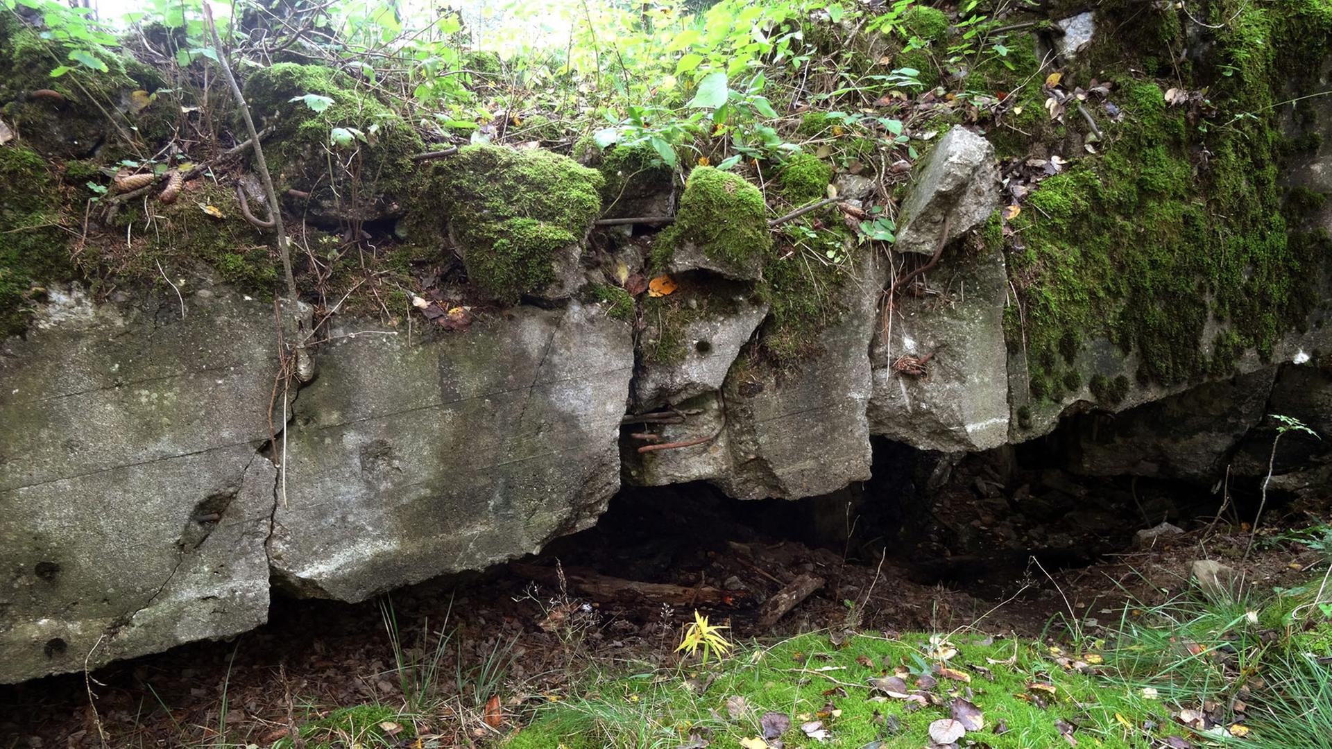 Dieser Bunker des ehemaligen Westwalls wurde nach dem Ende der Kampfhandlungen im Hürtgenwald gesprengt Dieser Bunker des ehemaligen Westwalls wurde nach dem Ende der Kampfhandlungen im Hürtgenwald gesprengt