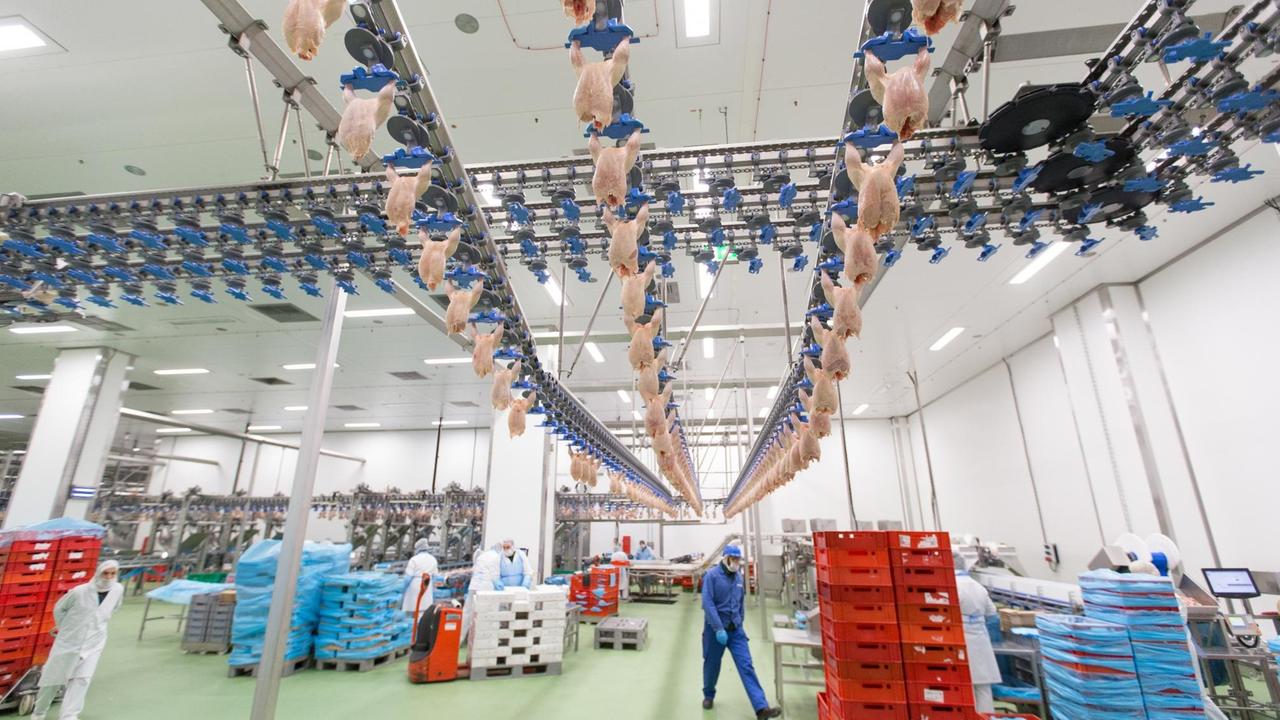 Geflügelfleisch wird am 05.12.2017 in den Produktionshallen des Geflügelproduzenten Wiesenhof in Lohne (Niedersachsen) verarbeitet. Geflügelfleisch wird am 05.12.2017 in den Produktionshallen des Geflügelproduzenten Wiesenhof in Lohne (Niedersachsen) verarbeitet.