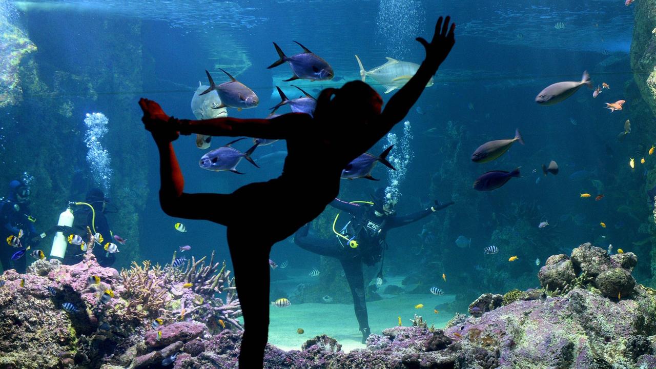 Yoga vor dem Aquarium in Sidney, 17.10.2013 (Vivien Speers) Yoga vor dem Aquarium in Sidney, 17.10.2013 (Vivien Speers)