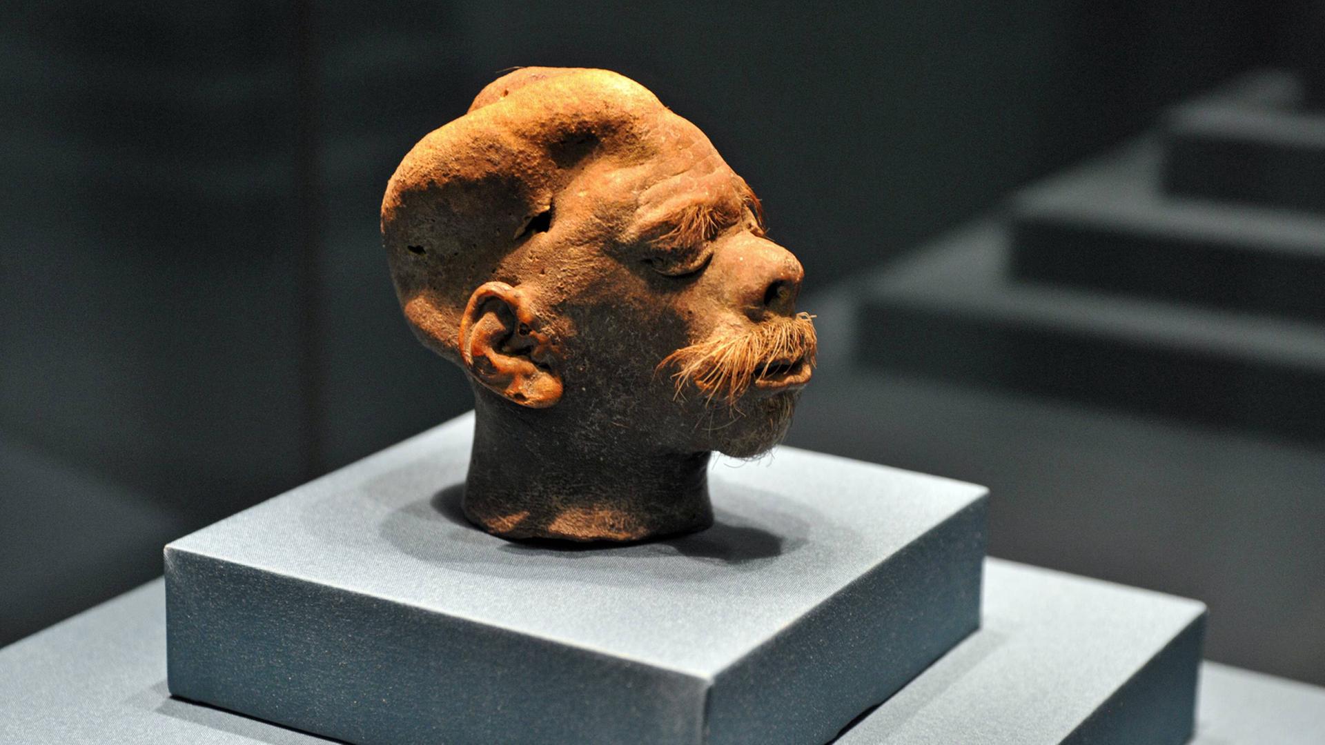 Ein Schrumpfkopf der Jívaro (Ecuador), datiert auf 1920-1930, ist in der Ausstellung "Schädel – Ikone Mythos Kult" im Weltkulturerbe Völklinger Hütte im Juli 2015 zu sehen. Ein Schrumpfkopf der Jívaro (Ecuador), datiert auf 1920-1930, ist in der Ausstellung "Schädel – Ikone Mythos Kult" im Weltkulturerbe Völklinger Hütte im Juli 2015 zu sehen.