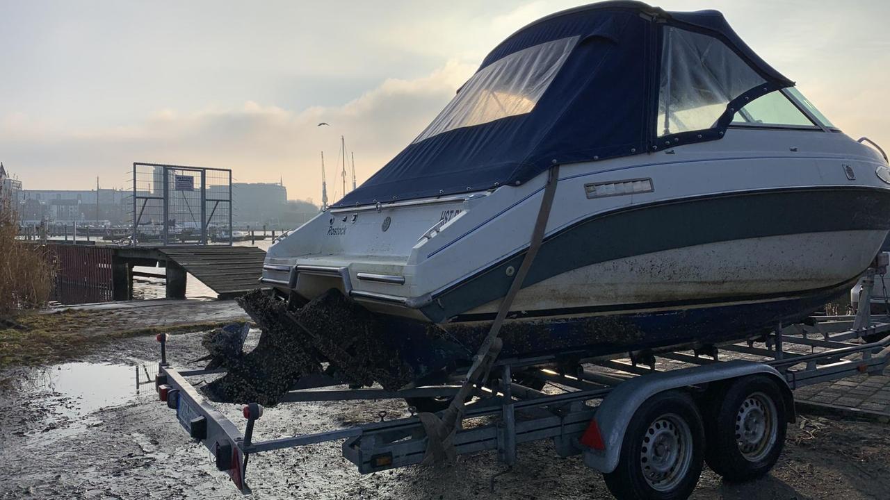 Ein Motorboot steht im Hafen auf einem Anhänger. Die Schiffsschraube ist mit verkrusteten Rückständen des Australischen Röhrenwurms übersäht. Ein Motorboot steht im Hafen auf einem Anhänger. Die Schiffsschraube ist mit verkrusteten Rückständen des Australischen Röhrenwurms übersäht.