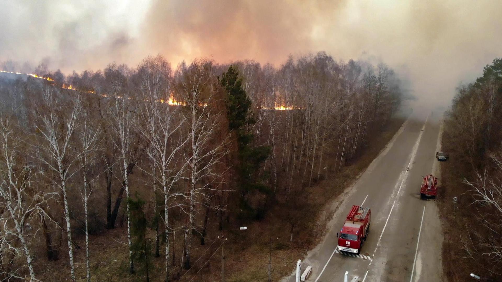 In der Sperrzone von Tschernobyl brennt der Wald In der Sperrzone von Tschernobyl brennt der Wald