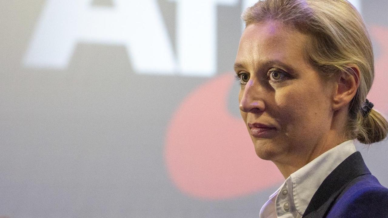 Die AfD-Fraktionschefin im Bundestag, Alice Weidel Die AfD-Fraktionschefin im Bundestag, Alice Weidel