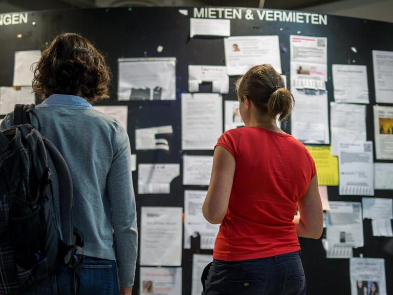Zwei Studenten stehen vor einem Schwarzen Brett mit vielen Zetteln.