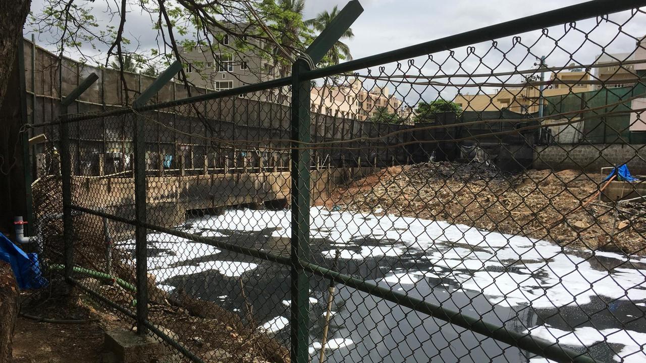 Ausläufer des Bellandursees im indischen Bangalore 2017 Ausläufer des Bellandursees im indischen Bangalore 2017